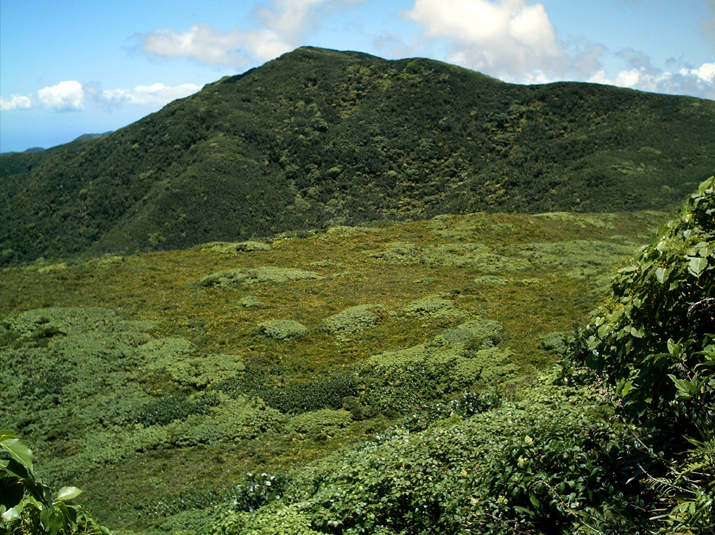 26a - La Soufirère 023.jpg